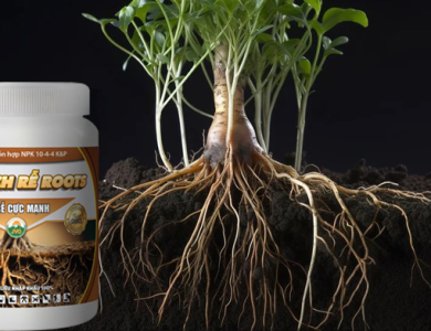 SIÊU KÍCH RỄ ROOTS 500GR - RA RỄ CỰC MẠNH HIỆU QUẢ CAO