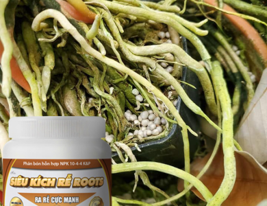SIÊU KÍCH RỄ ROOTS 500GR - RA RỄ CỰC MẠNH HIỆU QUẢ CAO