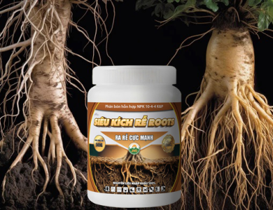 SIÊU KÍCH RỄ ROOTS 500GR - RA RỄ CỰC MẠNH HIỆU QUẢ CAO