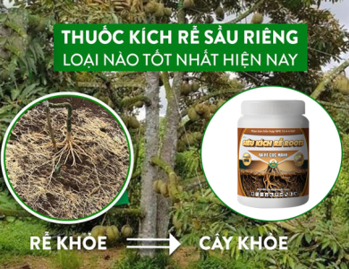 SIÊU KÍCH RỄ ROOTS 500GR - RA RỄ CỰC MẠNH HIỆU QUẢ CAO