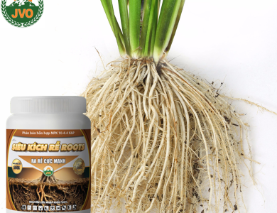 SIÊU KÍCH RỄ ROOTS 500GR - RA RỄ CỰC MẠNH HIỆU QUẢ CAO