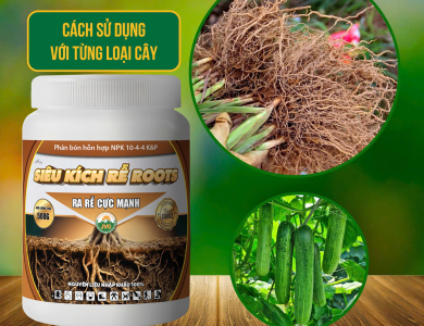 SIÊU KÍCH RỄ ROOTS 500GR - RA RỄ CỰC MẠNH HIỆU QUẢ CAO