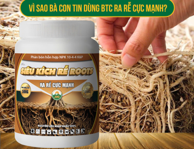 SIÊU KÍCH RỄ ROOTS 500GR - RA RỄ CỰC MẠNH HIỆU QUẢ CAO