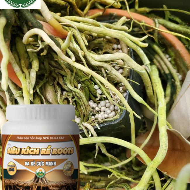 SIÊU KÍCH RỄ ROOTS 500GR - RA RỄ CỰC MẠNH HIỆU QUẢ CAO