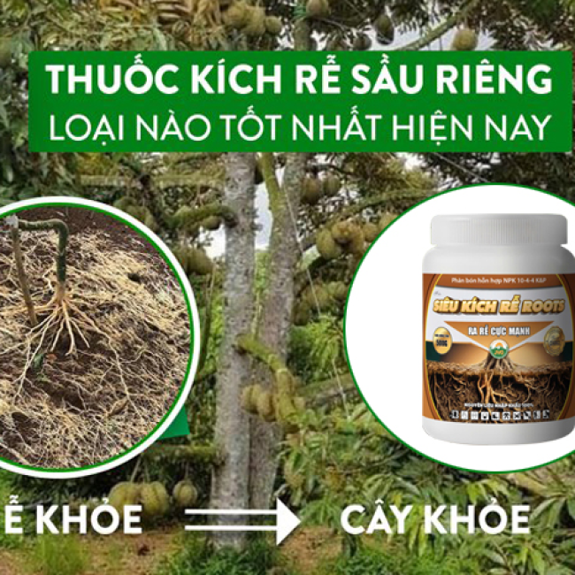 SIÊU KÍCH RỄ ROOTS 500GR - RA RỄ CỰC MẠNH HIỆU QUẢ CAO
