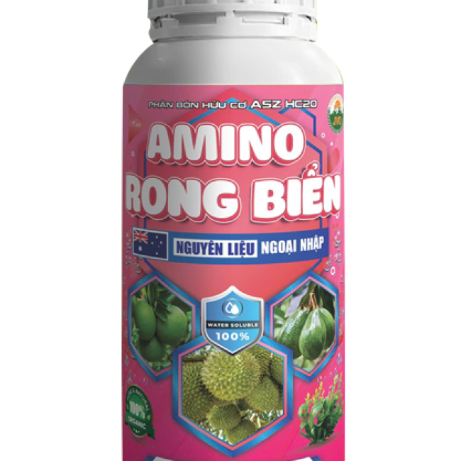 AMINO RONG BIỂN - CÂY KHỎE, MÁT CÂY, MẬP ĐỌT, XANH LÁ TỐT TRÁI