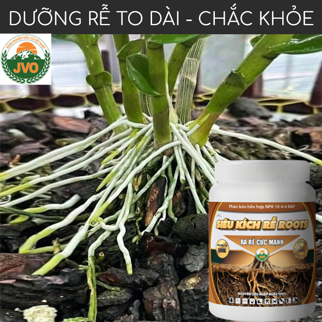SIÊU KÍCH RỄ ROOTS 500GR - RA RỄ CỰC MẠNH HIỆU QUẢ CAO