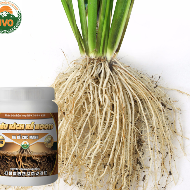 SIÊU KÍCH RỄ ROOTS 500GR - RA RỄ CỰC MẠNH HIỆU QUẢ CAO