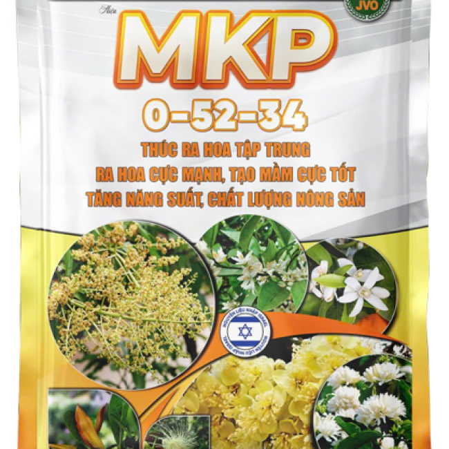 MKP 0-52-34 NHẬP KHẨU ISRAEL -KÍCH RA HOA ĐỒNG LOẠT CHỐNG NGHẸN ĐỒNG