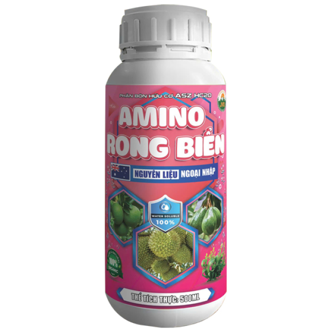 AMINO RONG BIỂN - CÂY KHỎE, MÁT CÂY, MẬP ĐỌT, XANH LÁ TỐT TRÁI