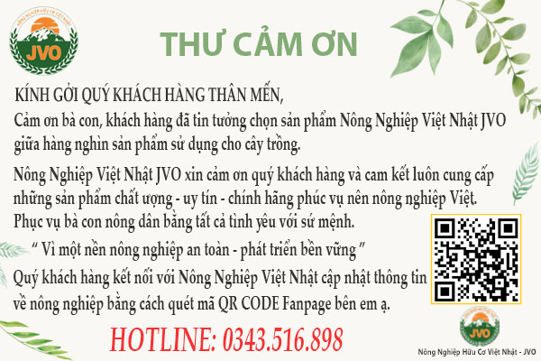 Thư cảm ơn