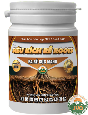 SIÊU KÍCH RỄ ROOTS 100GR - RA RỄ CỰC MẠNH HIỆU QUẢ CAO