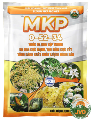 MKP 0-52-34 NHẬP KHẨU ISRAEL -KÍCH RA HOA ĐỒNG LOẠT CHỐNG NGHẸN ĐỒNG