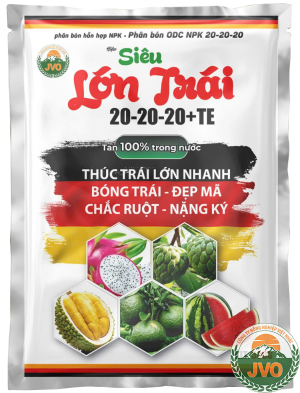SIÊU LỚN TRÁI 20-20-20+TE - THÚC TRÁI LỚN NHANH, CHẮC RUỘT NẶNG KÝ