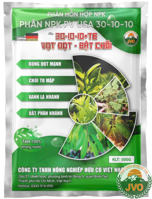 VỌT ĐỌT BẬT CHỒI 30-10-10+TE - BUNG ĐỌT MẠNH CHỒI TO MẬP XANH LÁ NHANH